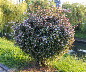 Similar image 22245685