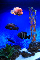 Similar image 22244157