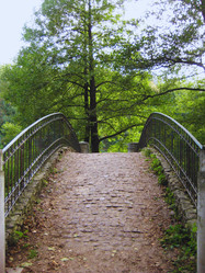 Similar image 22247603