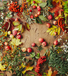 Similar image 22246889