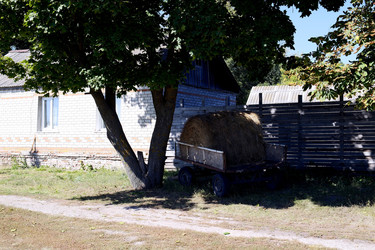 Similar image 22243656