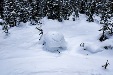 Similar image 22247078