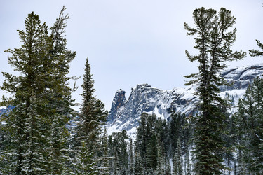 Similar image 22247079