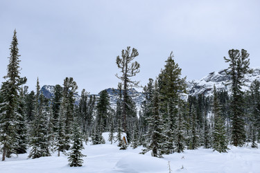 Similar image 22247082