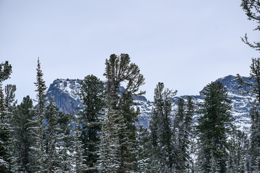 Similar image 22247083