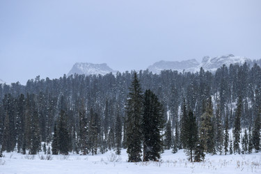 Similar image 22247086