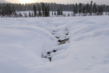 Similar image 22247089