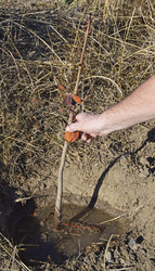 Similar image 22244898