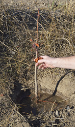 Similar image 22244899