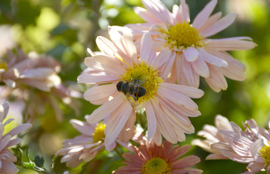 Similar image 22244901