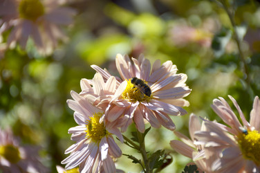 Similar image 22244902