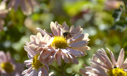 Similar image 22244903