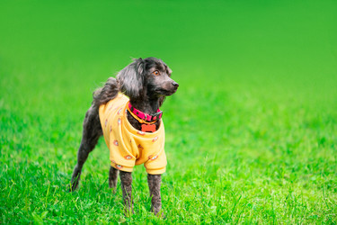 Similar image 22243319