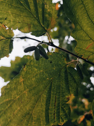 Similar image 22243327