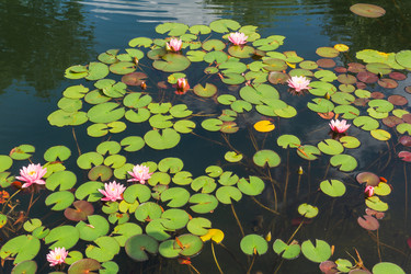 Similar image 22244150