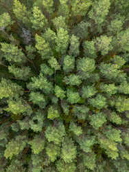 Similar image 22243328