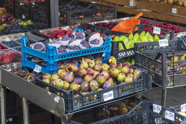 Similar image 22245715