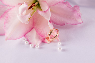 Similar image 22243669