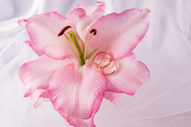 Similar image 22243671