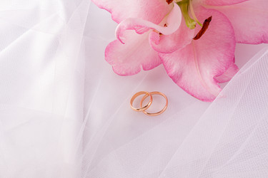 Similar image 22243673