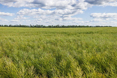 Similar image 22247515