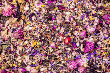 Similar image 22245142