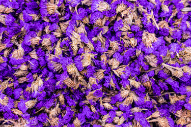 Similar image 22245143