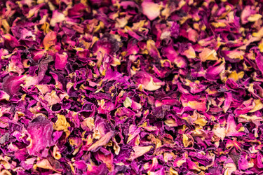 Similar image 22245145