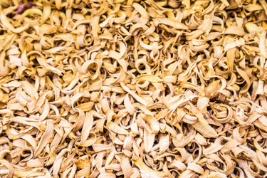 Similar image 22245146