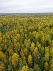 Similar image 22244161