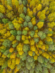 Similar image 22244163