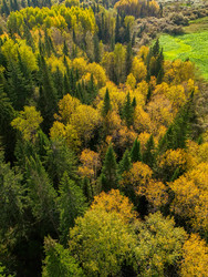 Similar image 22244267