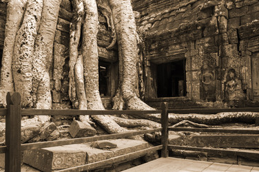 Similar image 22244288