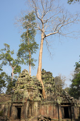 Similar image 22244292