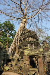 Similar image 22244293