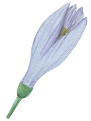 Similar image 22244296