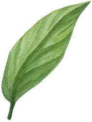 Similar image 22244297