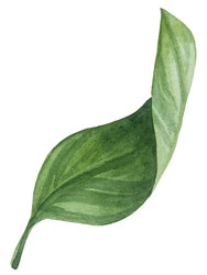 Similar image 22244298