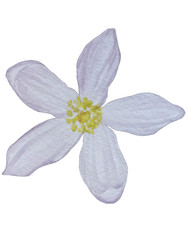 Similar image 22244300