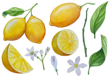 Similar image 22244301