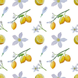 Similar image 22244303