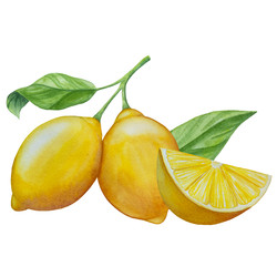 Similar image 22244307