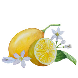 Similar image 22244308