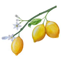 Similar image 22244310