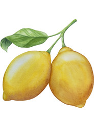 Similar image 22244315