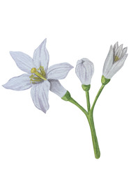 Similar image 22244317