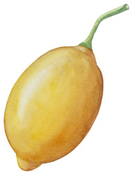 Similar image 22244318