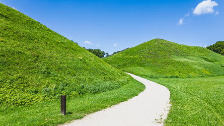 Similar image 22247521