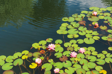 Similar image 22245157