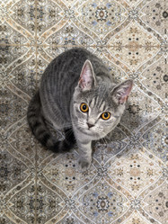 Similar image 22245158